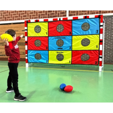 Edukacinė taiklumo siena „Eureka Wall“