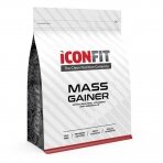 ICONFIT MASS Gainer (1.5KG)