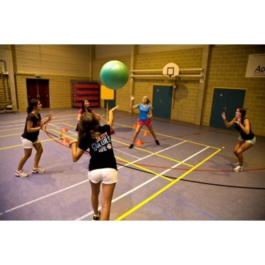 Komandinis žaidimas Poull Ball