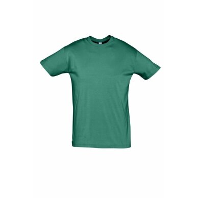 Marškinėliai apvalia apykakle (įvairių spalvų)