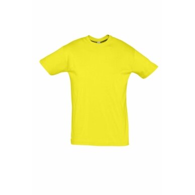 Marškinėliai apvalia apykakle (įvairių spalvų)