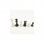 Plastikinės šachmatų figūros